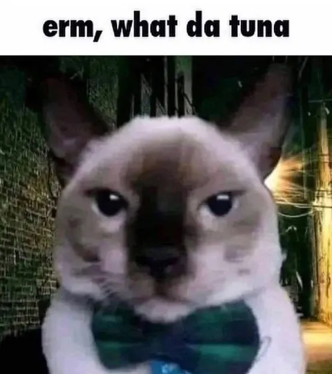 Erm, What Da Tuna Cat