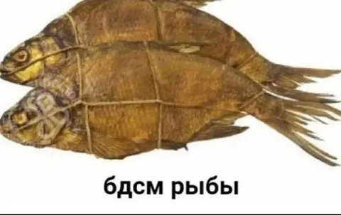 БДСМ рыбы