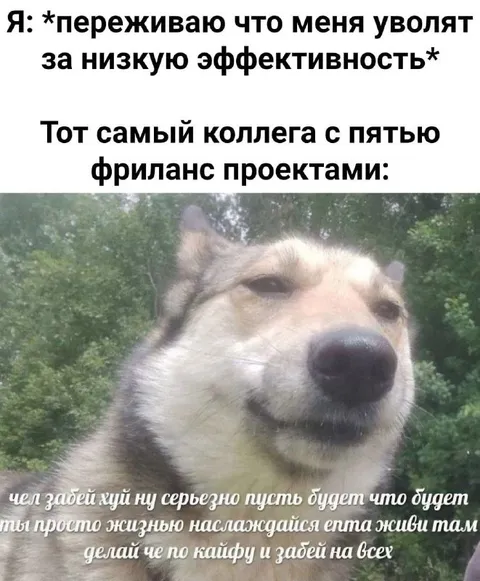 Коллега с пятью фриланс-проектами