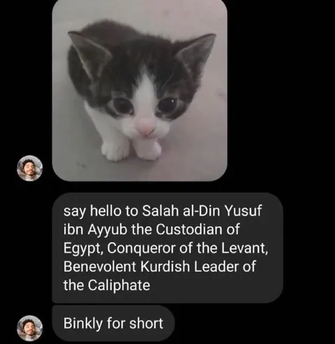 Binkly the Tiny Kitten