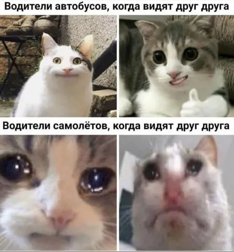 Водители автобусов и самолётов