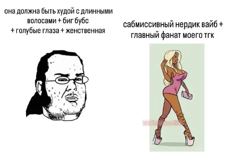 Идеальная вайф против реальности