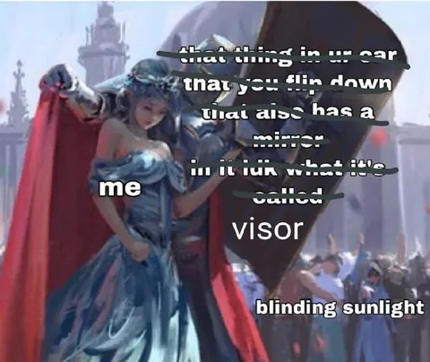 Car Sun Visor Confusion