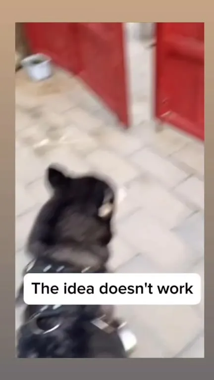 The Idea Doesn't Work