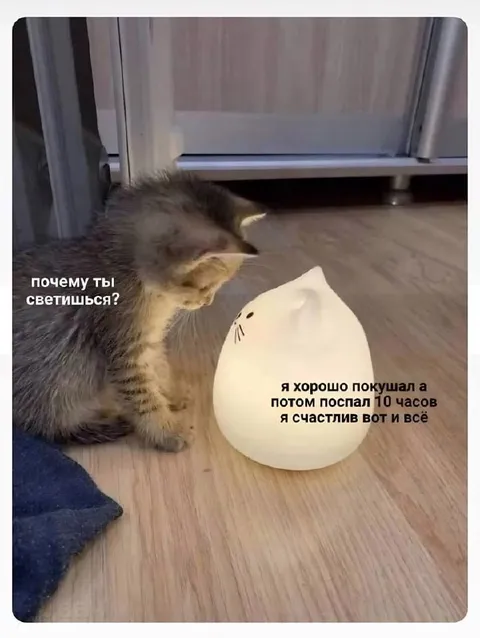 Кот спрашивает, почему ты светишься
