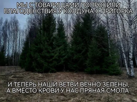 Благодарность колдуна с пригорка