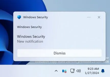 Windows Security Notification