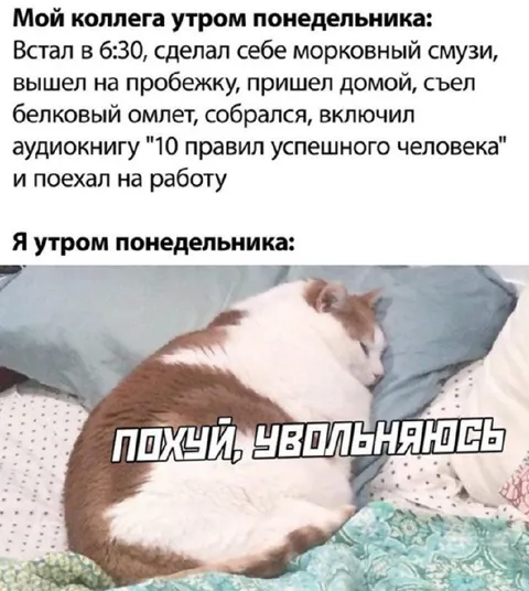 Утро понедельника у коллеги и меня