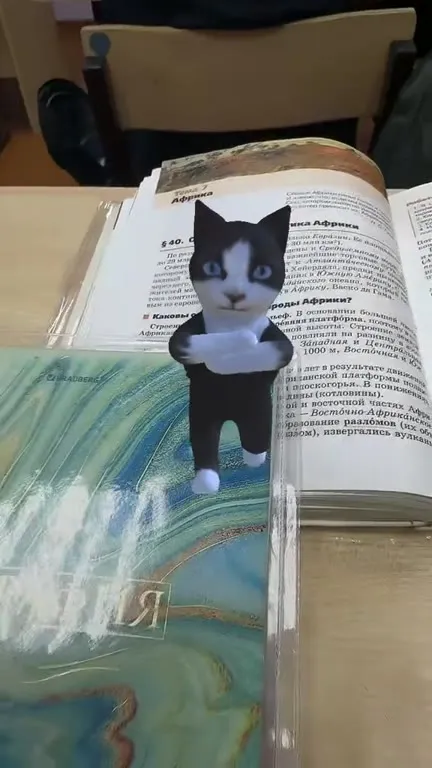 Танцующий кот на географии