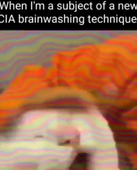 CIA Brainwashing Cat