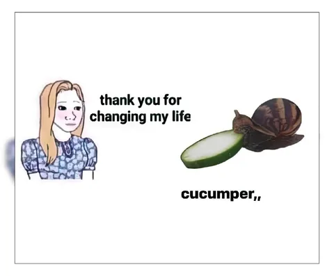 Thank You Cucumber