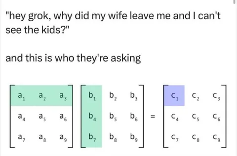 Grok Explains Matrix Multiplication