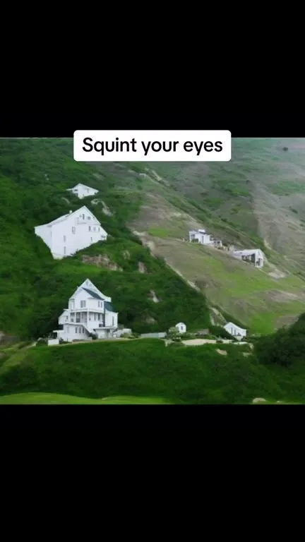 Squint Your Eyes Cat Reveal