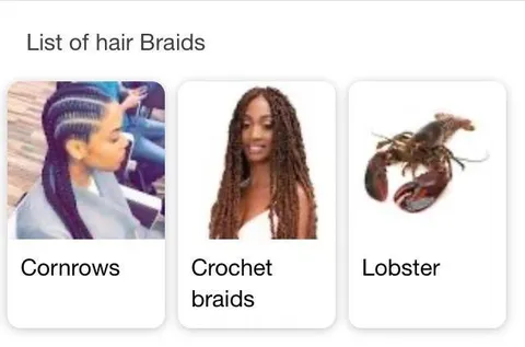 Hair Braid Names Gone Wrong