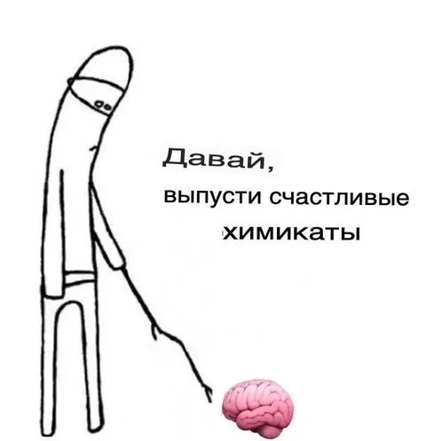 Счастливые химикаты в мозгу