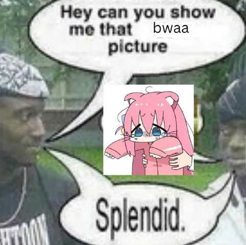 Hey, Show Me That Bwaa Picture