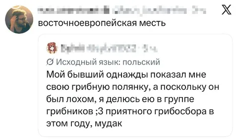 Восточноевропейская месть