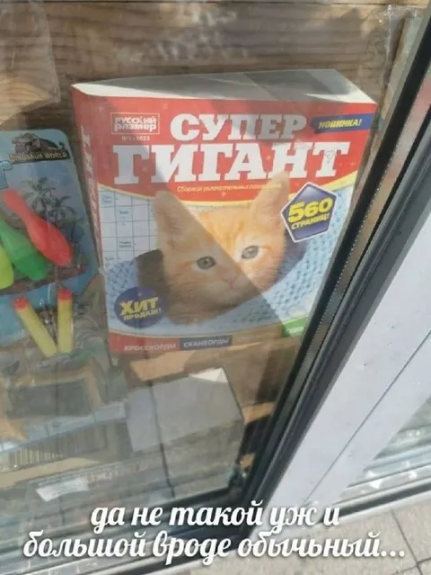 Да не такой уж и большой
