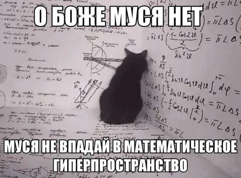 Муся и математическое гиперпространство