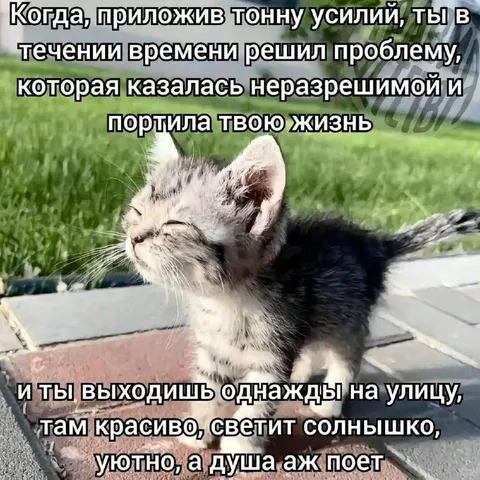 Проблема наконец решена