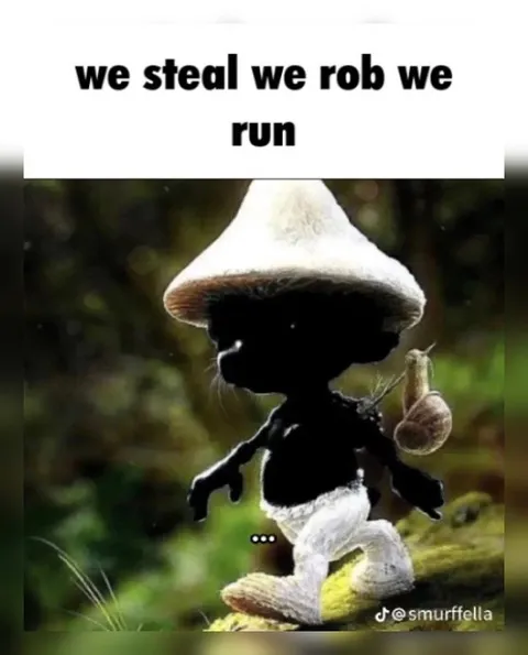 We Steal We Rob We Run