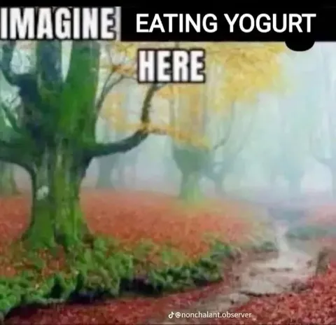 Imagine Eating Yogurt Here