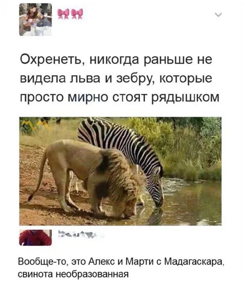 Алекс и Марти рядом