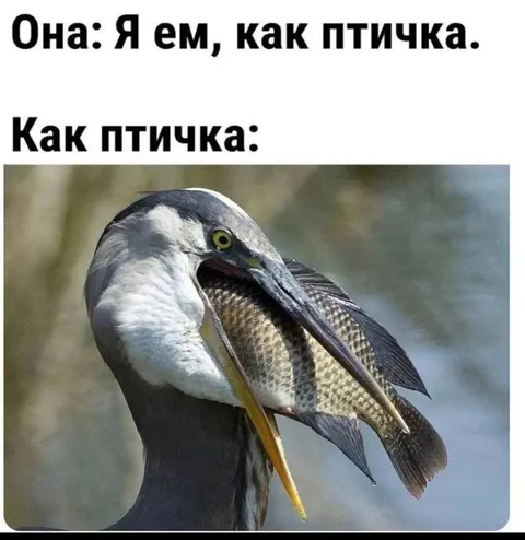 Я ем как птичка