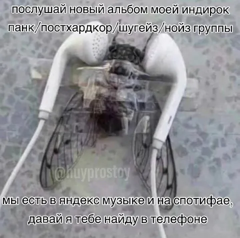 Новый альбом инди-рок группы