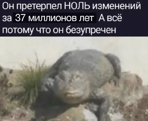 Безупречный лягушачий вид