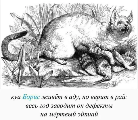 Борис заводит дефекты в аду