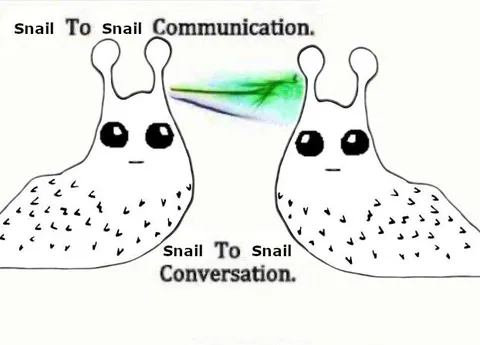 Snail to Snail Communication