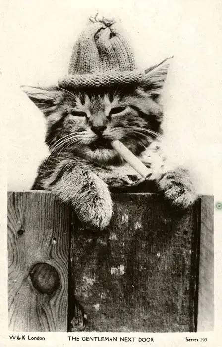 The Gentleman Next Door