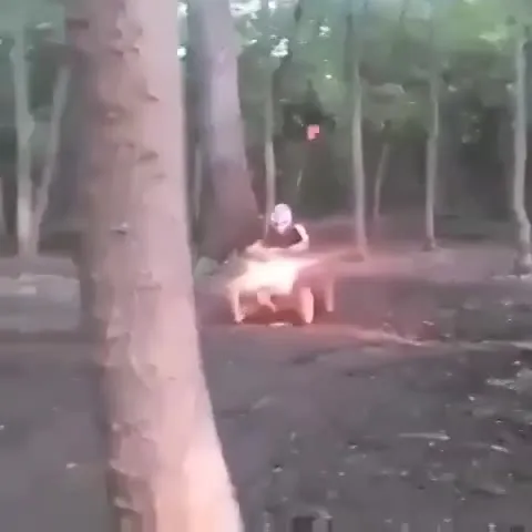 Неожиданная поездка по лесу