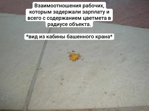 Вид из кабины башенного крана