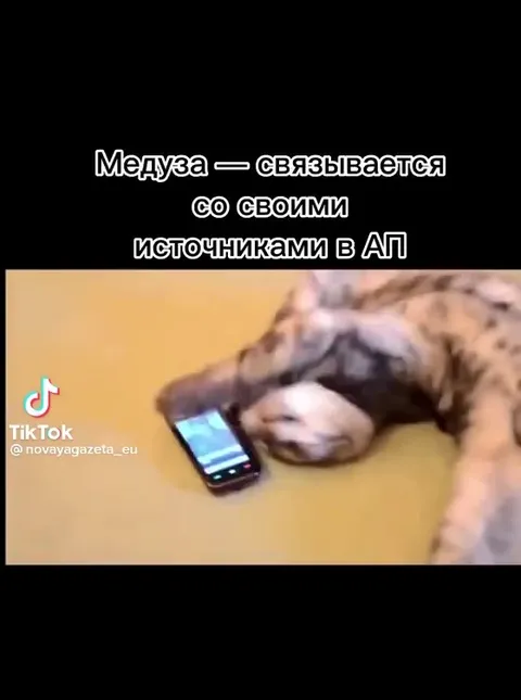 Медиазона ждёт материалы героев
