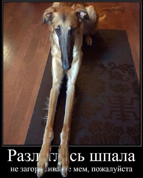 Разлеглась шпала