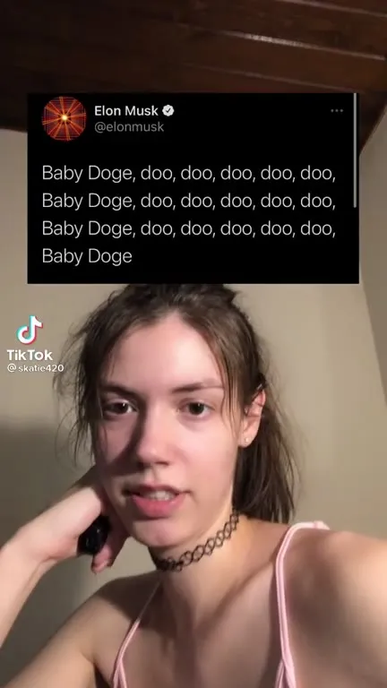 Baby Doge Song Reaction