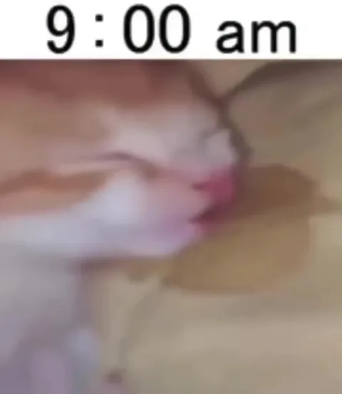 Cat Wakes Up to Alarm