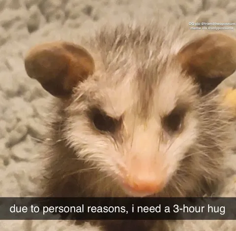 Three-Hour Hug Needed