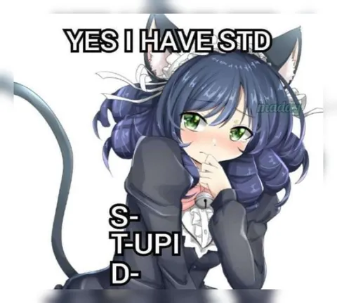 Yes I Have STD Catgirl