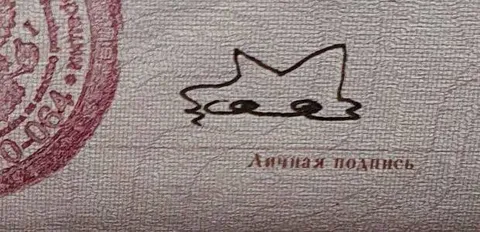 Лучшая подпись кота