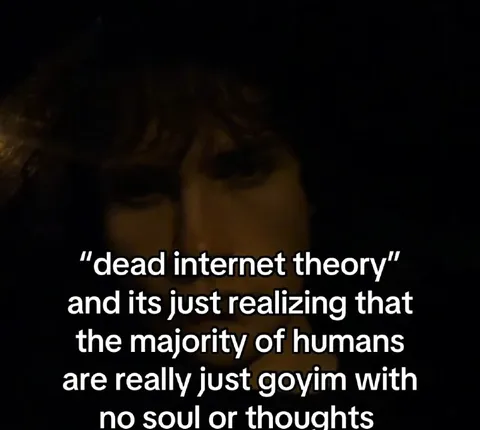Dead Internet Theory Realization