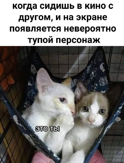 Тупой персонаж в кино
