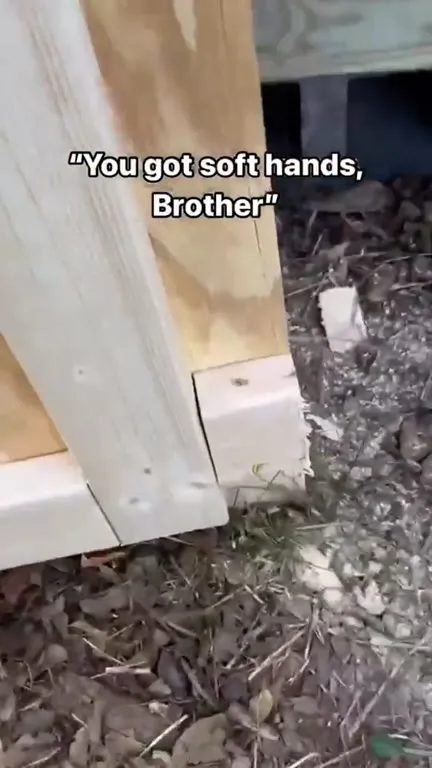 Soft Hands Brother