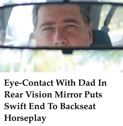 Dad Stops Backseat Horseplay