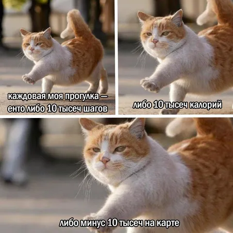Каждая прогулка — десять тысяч