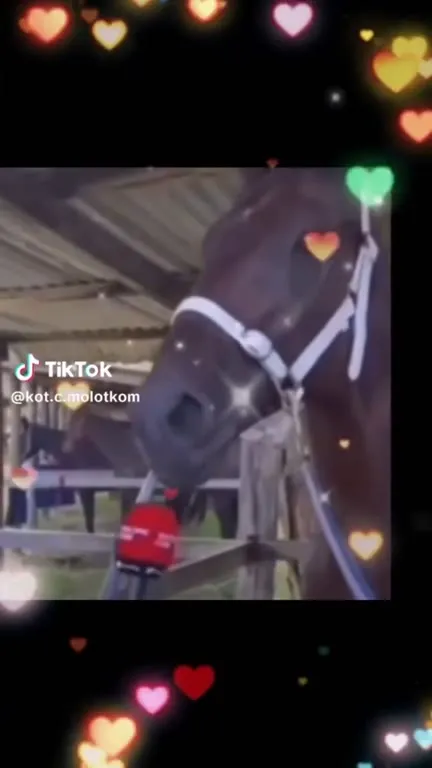 Лошадь отвечает на интервью