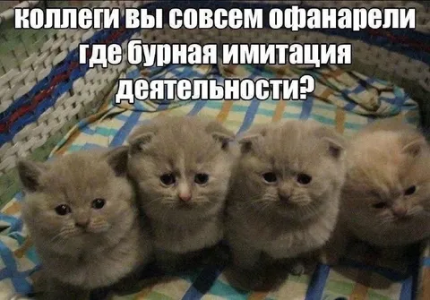 Коллеги, где бурная имитация деятельности