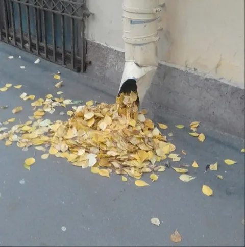 Осень из водосточной трубы